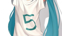 动漫一字马,一字马传奇